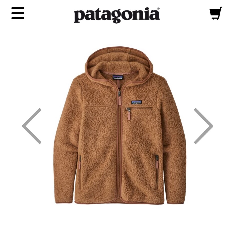 Patagonia zip hoodie with fleece lining